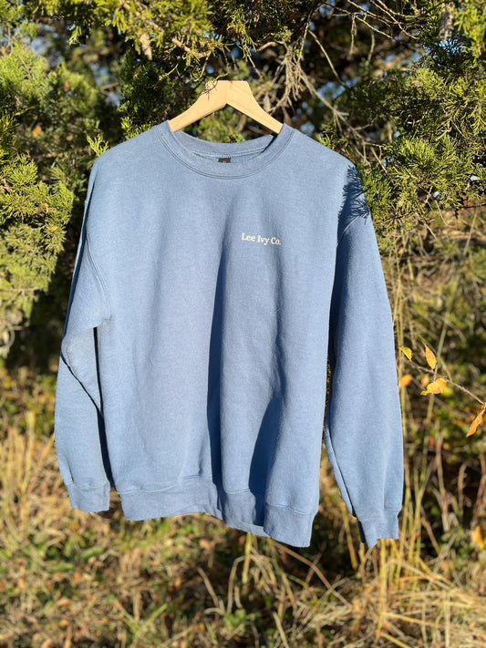Light blue sweatshirt with text on a hanger against a natural background